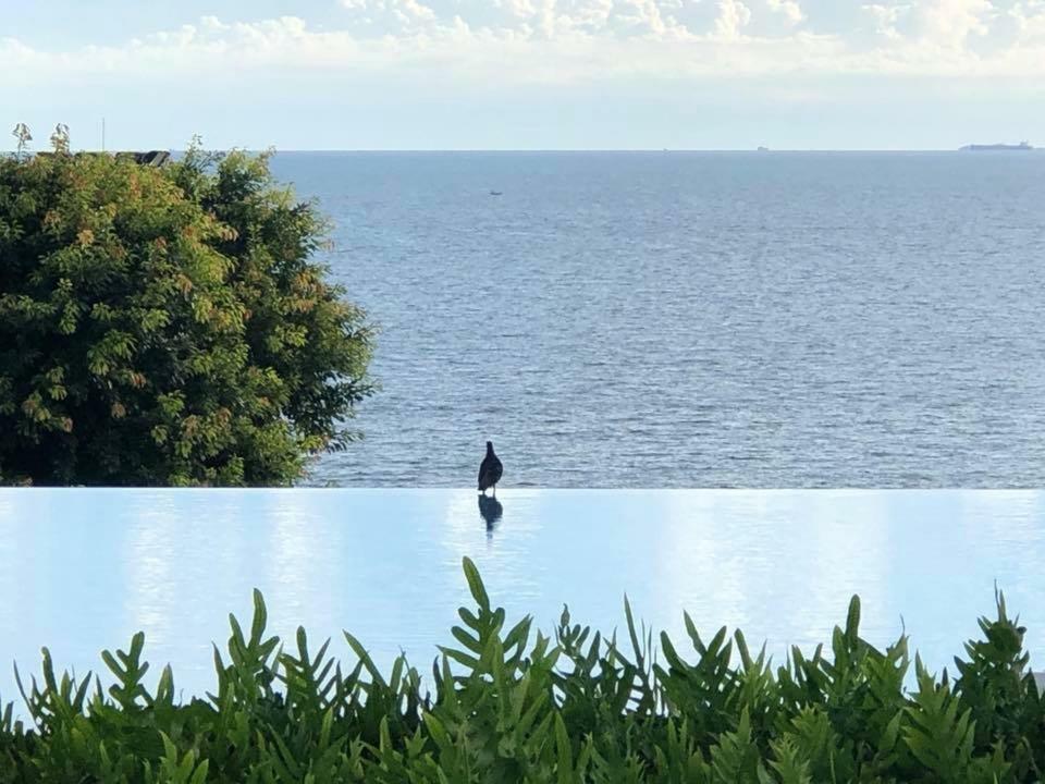 Aeras - The Ultimate Beachfront Experience Джомтьен Экстерьер фото